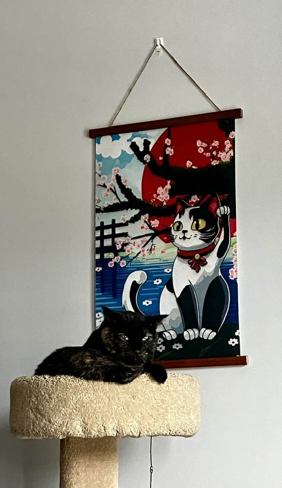 Henley is clearly thrilled about the new wall decor.